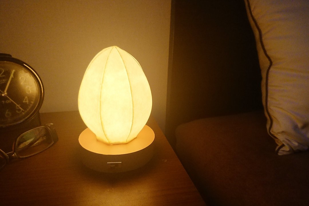 蛋型和纸日式夜灯 - 灯具/灯饰 - 纸 白色