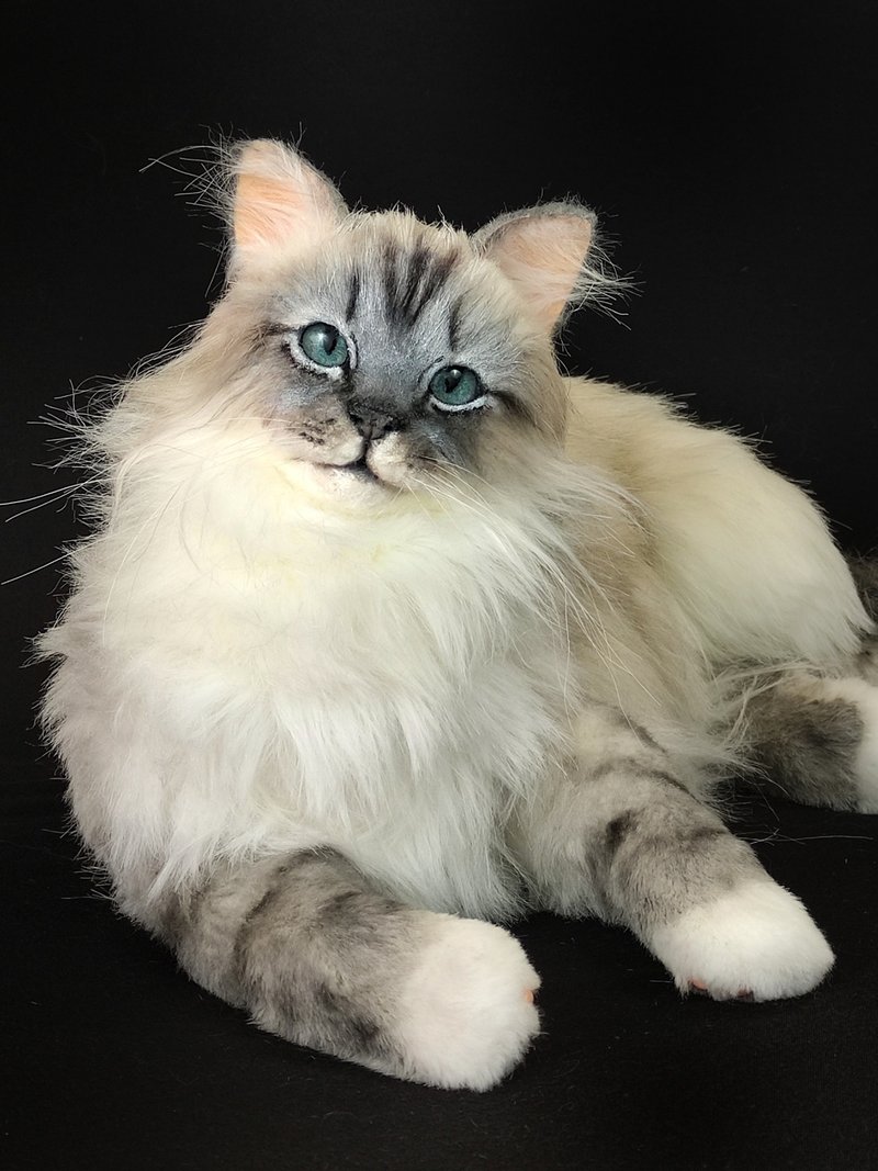 订制写实长毛猫玩偶 - 玩偶/公仔 - 其他材质 