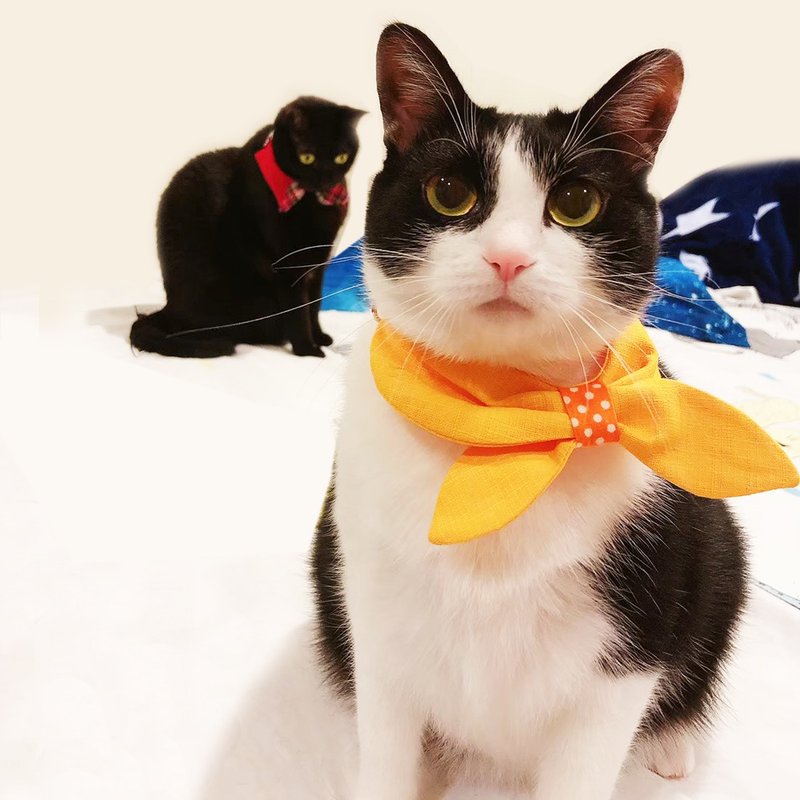 Ella Wang Design Flight Attendants Scarf 宠物 空服员 颈圈 - 项圈/牵绳 - 棉．麻 多色