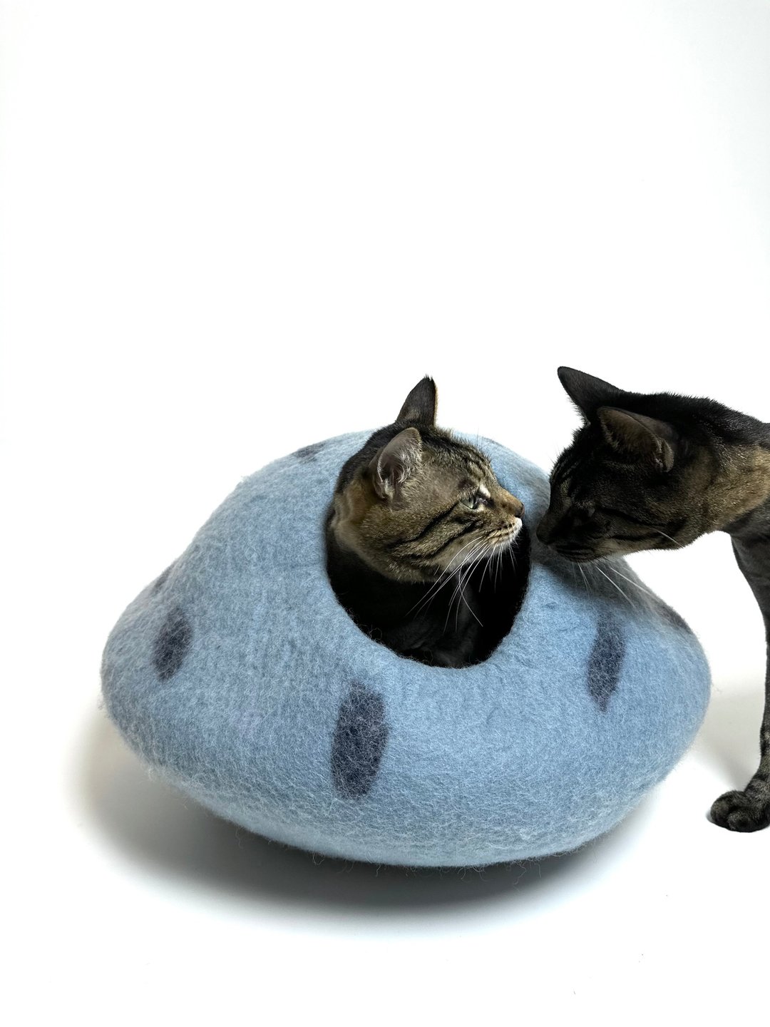 羊毛毡洞穴封闭式猫窝猫用品 - LeFunnyCat掉落的蓝色晶球 - 床垫/笼子 - 羊毛 蓝色