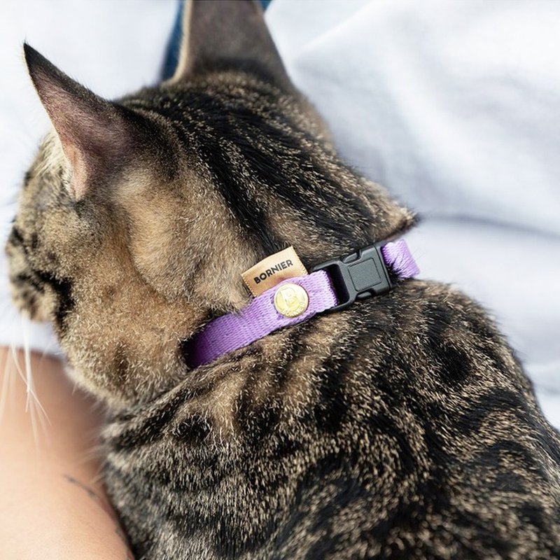 BORNIER猫咪安全扣项圈 经典素色款 9色 2尺寸 (现货) - 项圈/牵绳 - 尼龙 