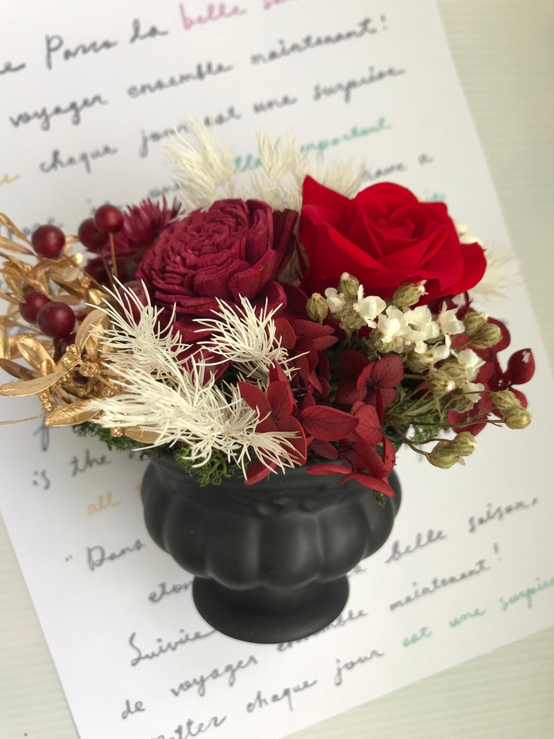 花市场日本进口红色永生花盆花 - 干燥花/捧花 - 植物．花 红色