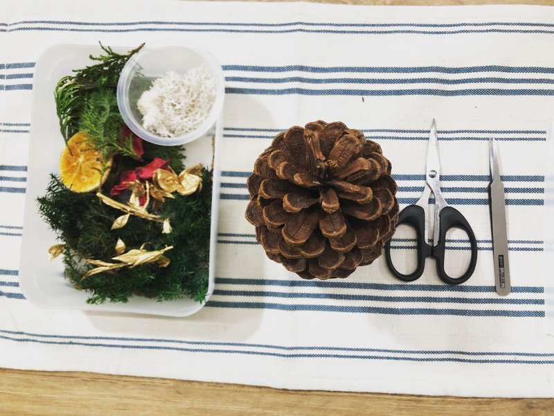 【独家圣诞礼盒】DIY材料包/松果圣诞树/附制作影片 - 植栽 - 植物．花 