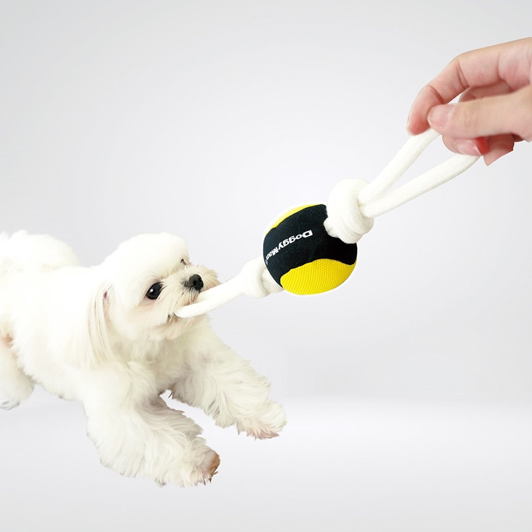 【日本DoggyMan】室内户外皆适用 ! 犬用轻盈耐咬玩具系列 - 玩具 - 其他材质 多色