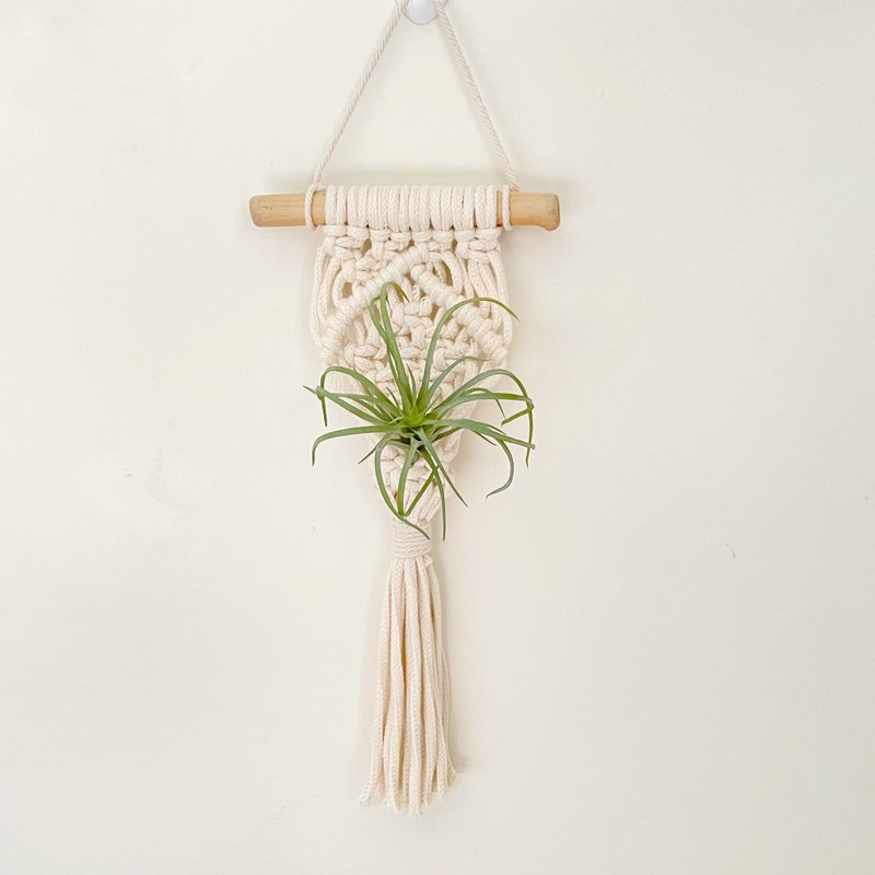 Macrame 植物 干燥  小挂篮挂饰 - 摆饰 - 棉 