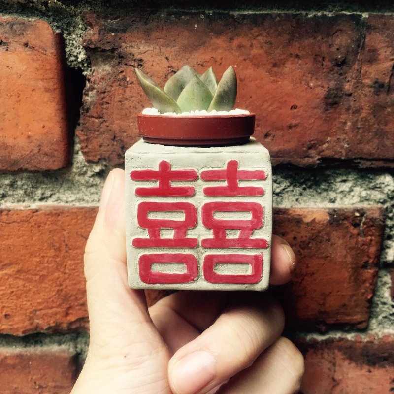 囍.  磁铁多肉盆栽 - 植栽/盆栽 - 水泥 灰色