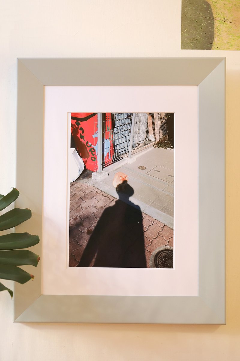 八景岛的猫 - 摄影集 - 纸 