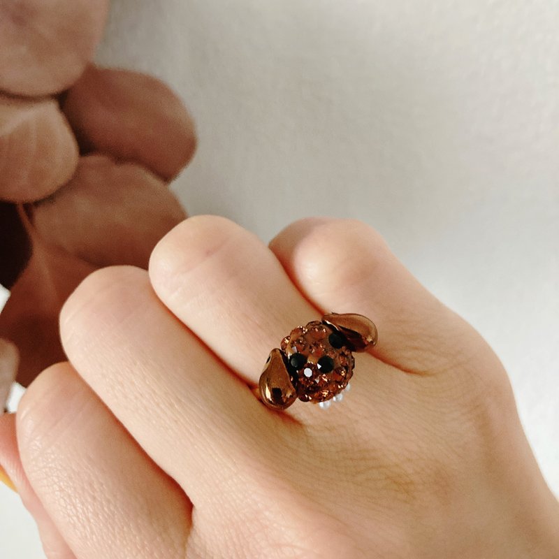 玩具贵宾犬环 - 戒指 - 玻璃 咖啡色