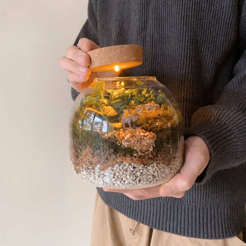 苔藓生态瓶植栽 - 植栽/盆栽 - 植物．花 绿色