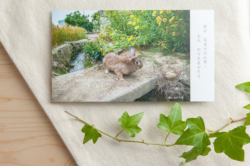 兔子摄影插画明信片 - 乡村风情 - 卡片/明信片 - 纸 卡其色