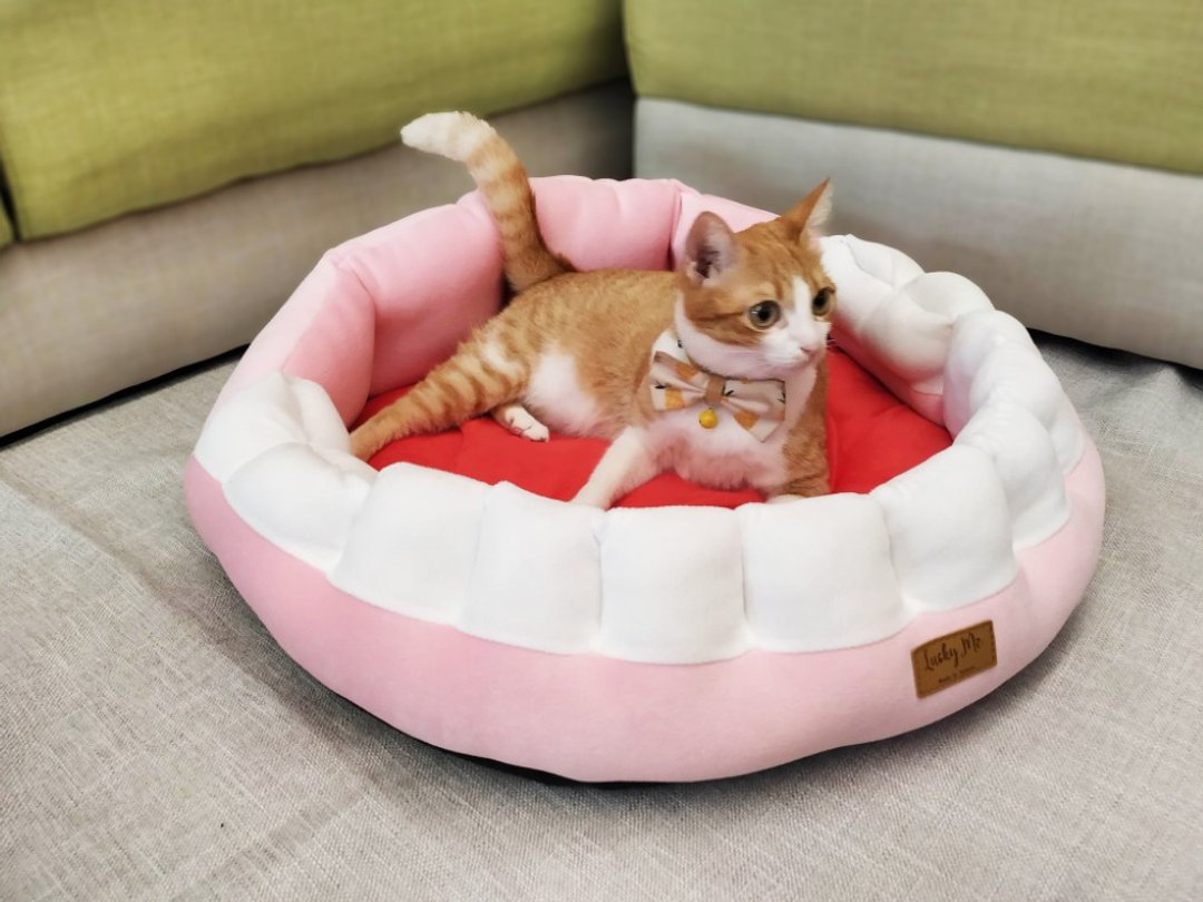古怪小假牙 - 大猫咪 小型犬 宠物床垫 - 床垫/笼子 - 其他人造纤维 粉红色