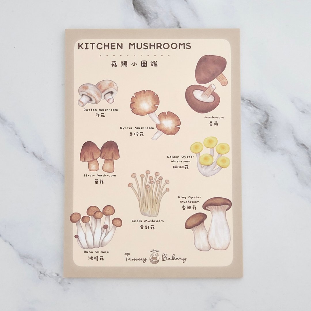 手绘明信片 料理菇类图鉴 | 图鉴 万用卡 生日卡 食物 甜点 插画 - 卡片/明信片 - 纸 多色
