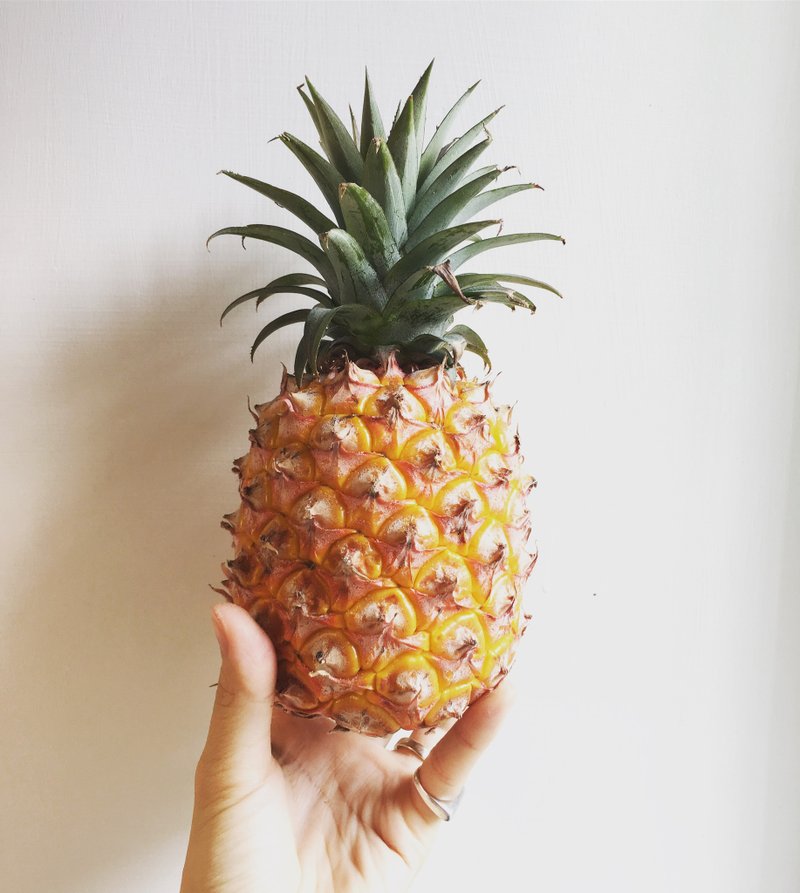 二毛银【童年趣味-三角龙立体实心纯银项链】单买坠子 - 项链 - 其他金属 银色