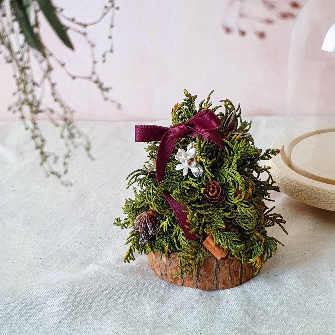 不凋花圣诞小树DIY材料包 示范影片 干燥花手作 - 植栽 - 植物．花 绿色