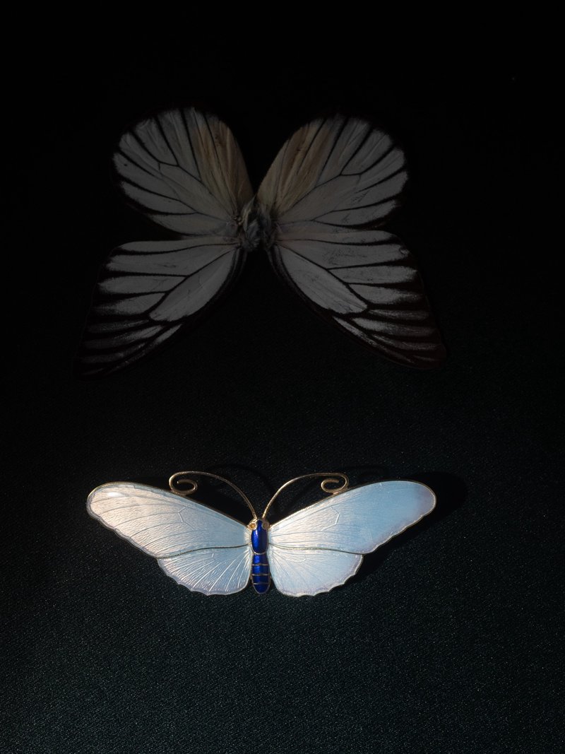 20世纪初期 挪威 Marius Hammer 浮雕珐琅蝴蝶胸针 - 胸针 - 银 蓝色
