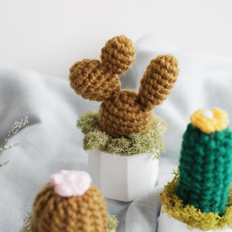 未完待续 | 手工毛线编织 仙人掌 白乌帽子款-现货(附盒装) - 植栽/盆栽 - 羊毛 