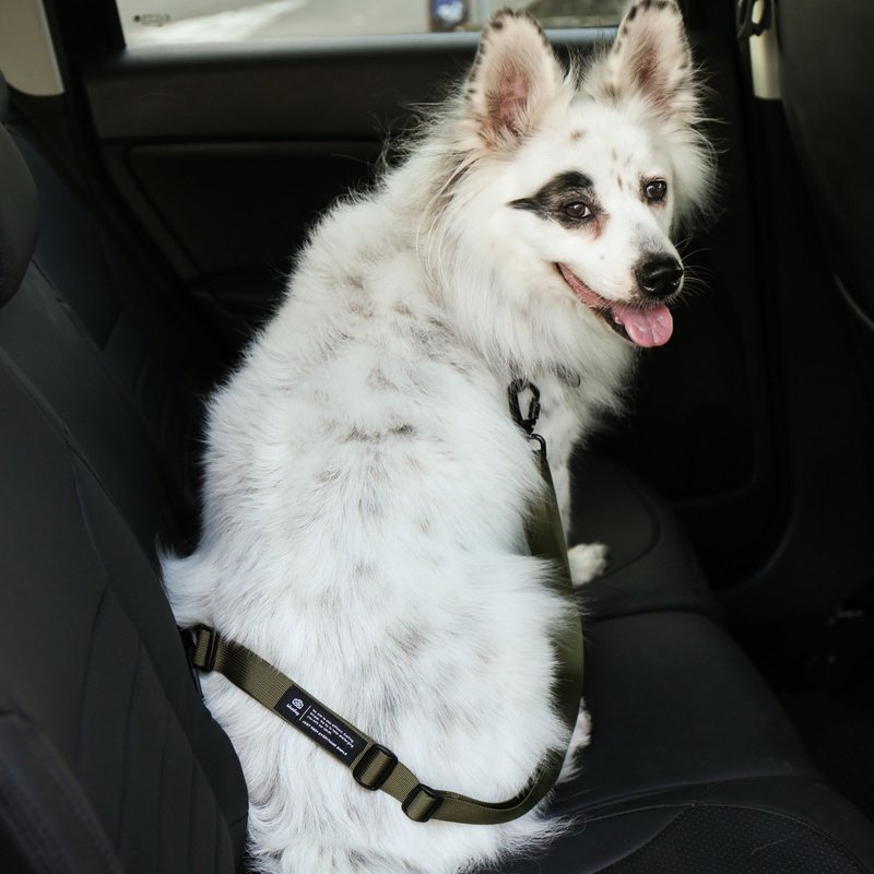 宠物两用车载安全带牵绳/DG129 - 项圈/牵绳 - 防水材质 多色