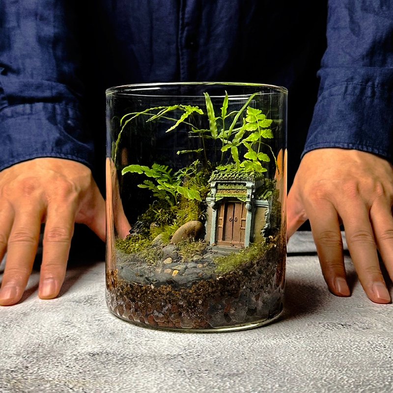 古厝余韵 / 主题性定制化造景生态缸 - 植栽/盆栽 - 植物．花 