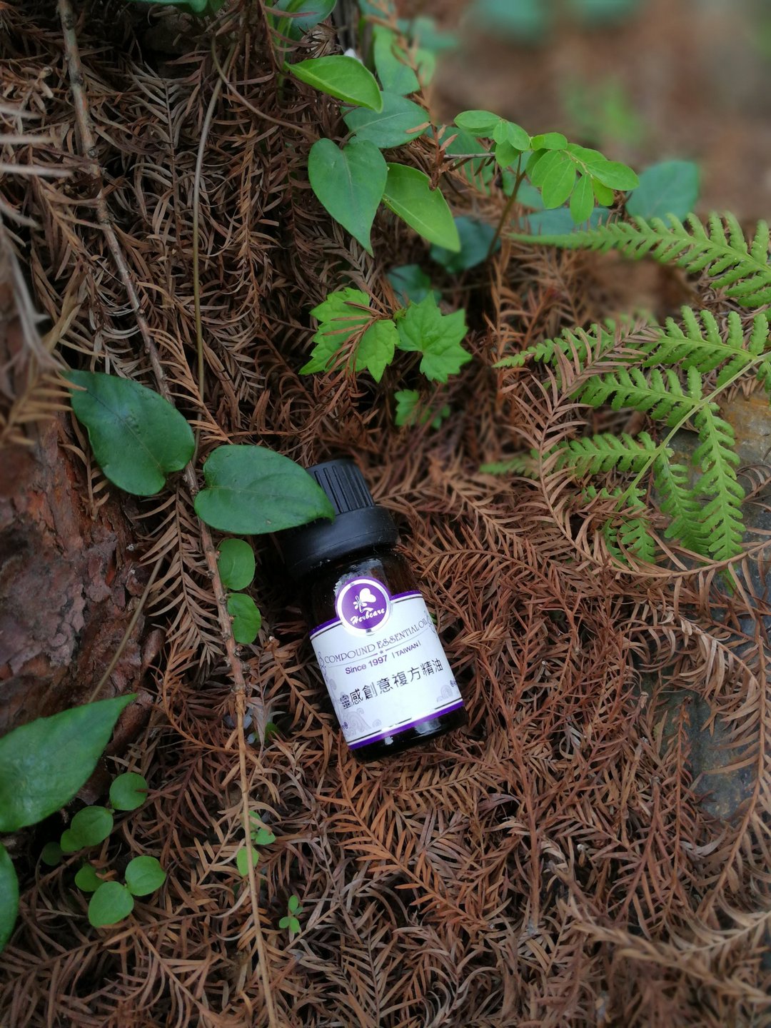 灵感创意复方纯精油 10ml 脑力工作者 艺术家 文创工作者最爱 - 香薰/精油/线香 - 精油 