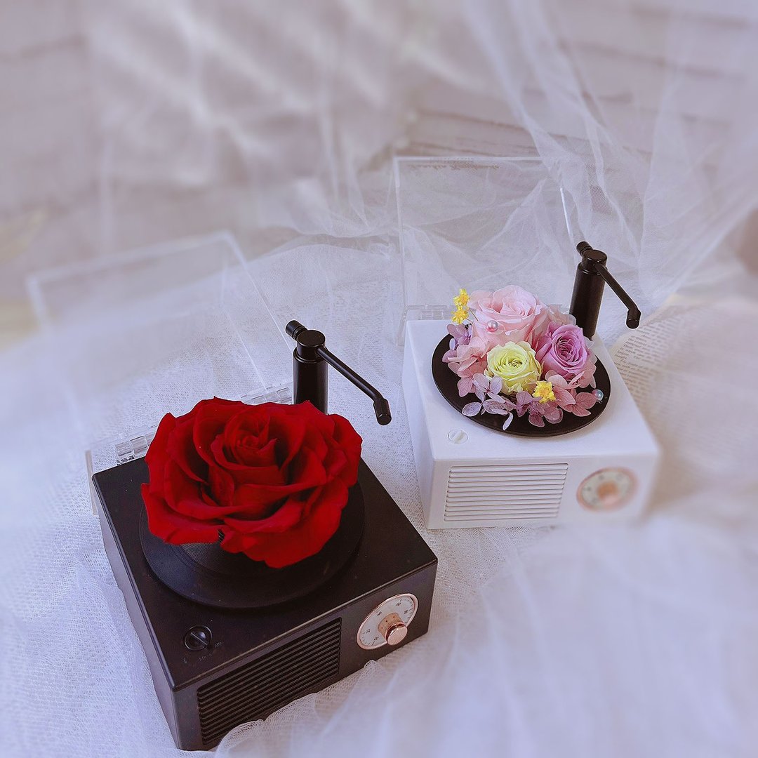 蓝芯花艺 永生花蓝牙留声机 情人节 生日 母亲节 网美 礼物 蓝牙 - 干燥花/捧花 - 植物．花 多色