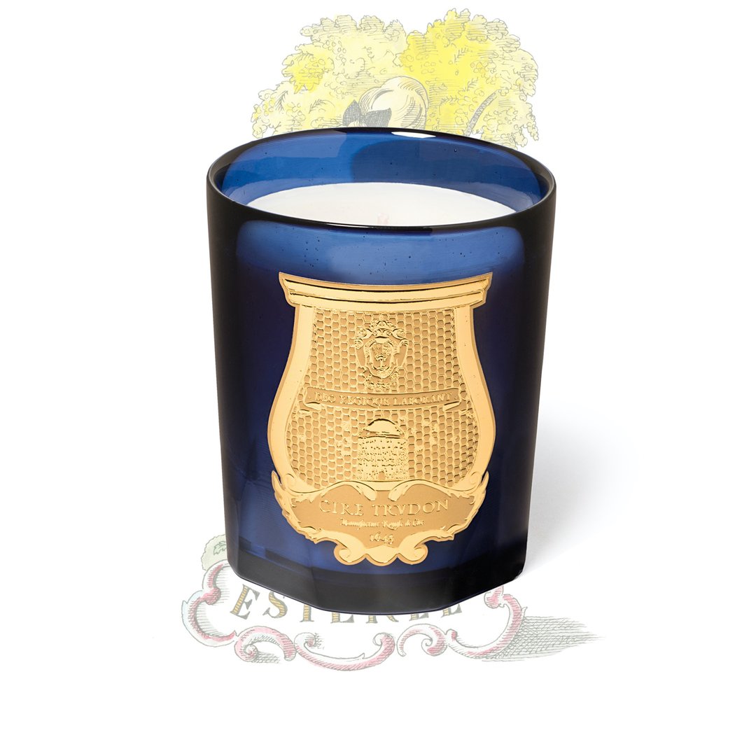 Cire Trudon 芬芳含羞草香氛蜡烛 - 蜡烛/烛台 - 玻璃 蓝色