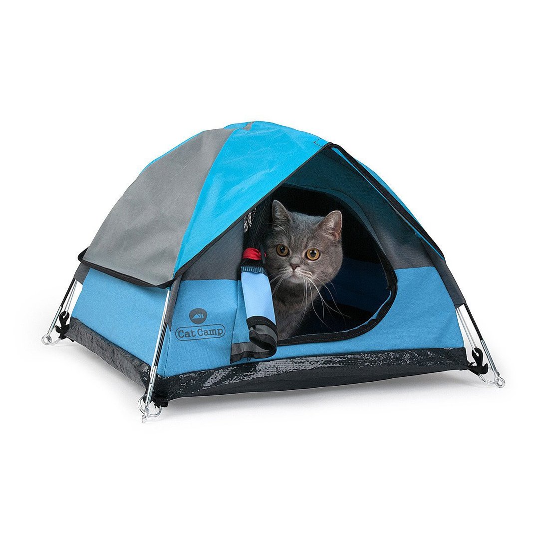 CatCamp猫咪露营帐篷-酷炫蓝 - 床垫/笼子 - 塑料 