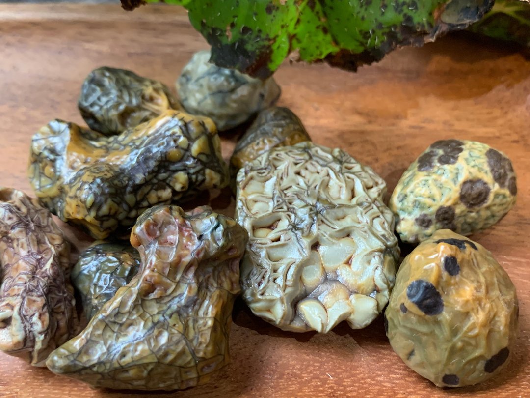 戈壁玛瑙 铁线筋脉 - 摆饰 - 石头 多色
