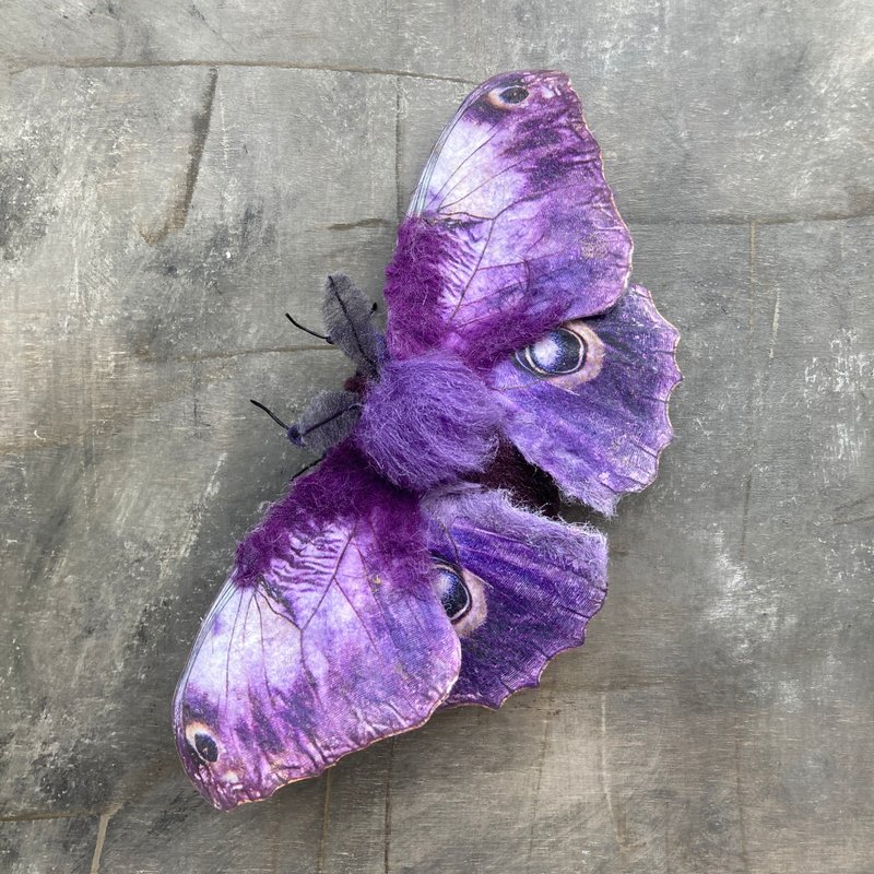 手工制作的大号紫色蝴蝶胸针 羊毛毡材质 女士款。 - 胸针 - 羊毛 紫色