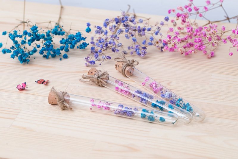 三花猫手作花饰-花语的传递  渐层满天星 干燥花试管 - 摆饰 - 植物．花 多色