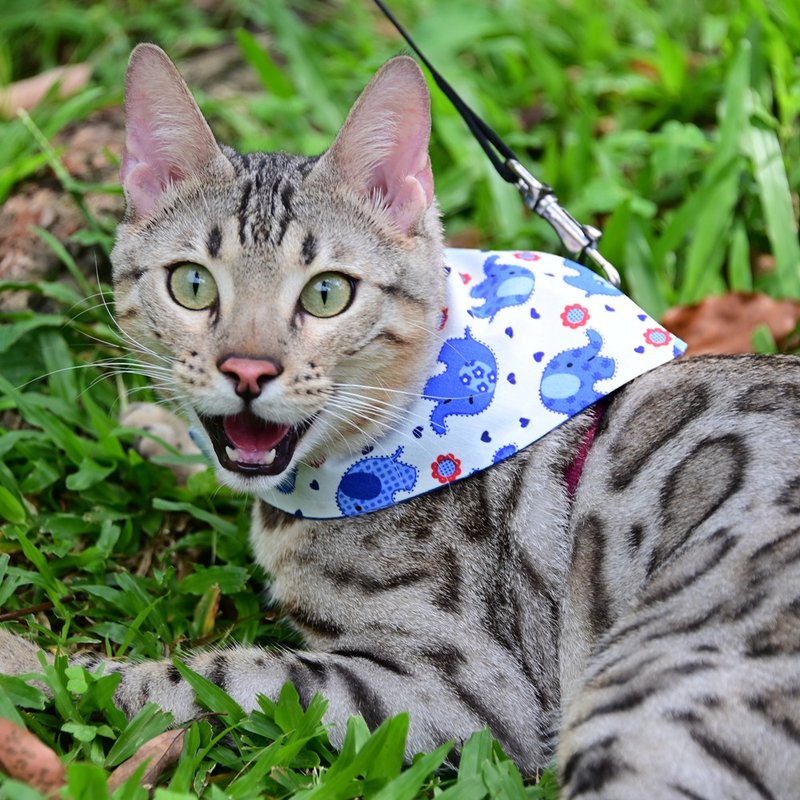 福气泰象象/双面领巾/宠物领巾.口水巾/三段扣/双面花色 - 衣/帽 - 棉．麻 多色