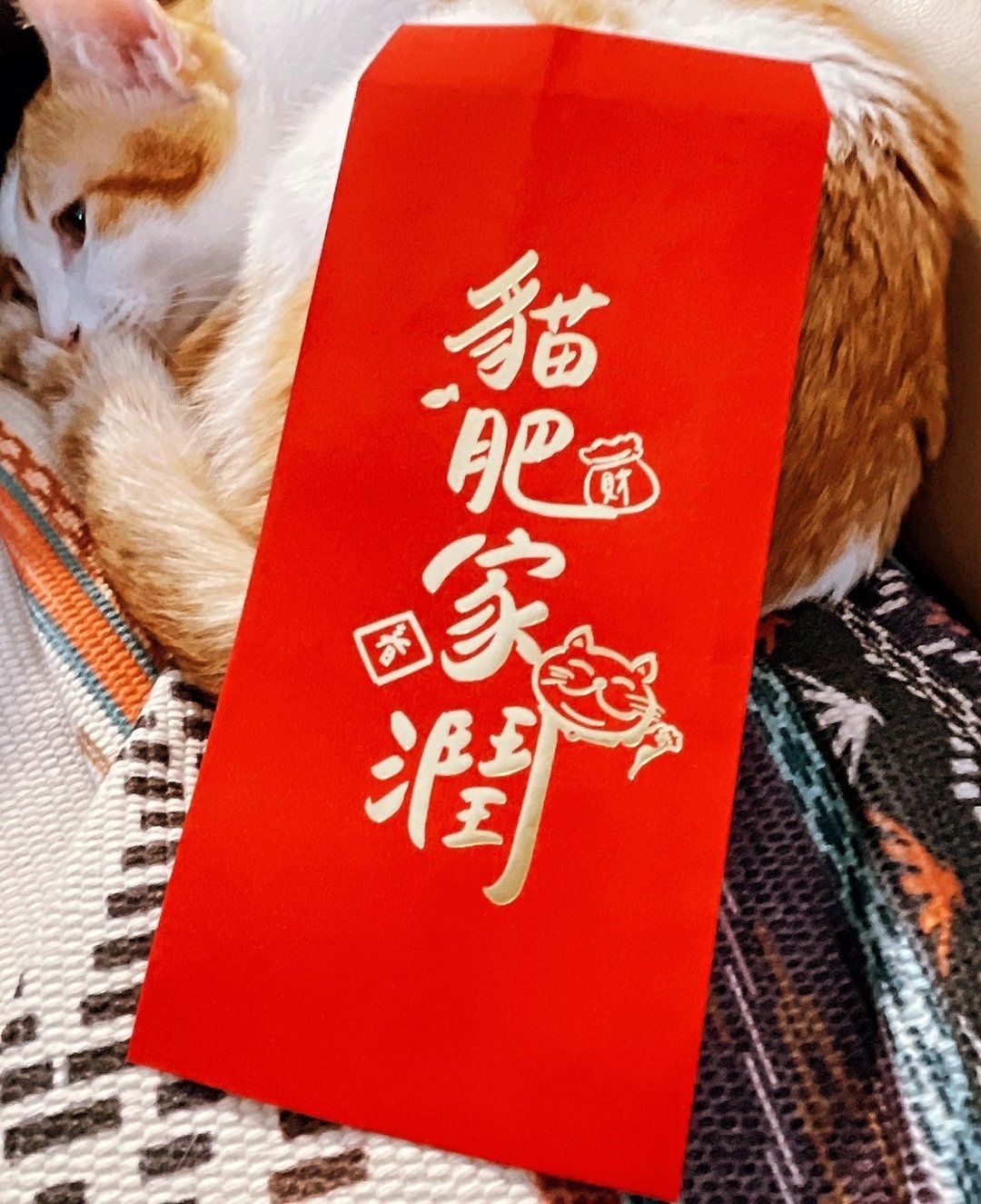 【快速出货】【手写烫金创意红包袋】猫奴专属 红包袋 手写字 - 红包/春联 - 纸 红色