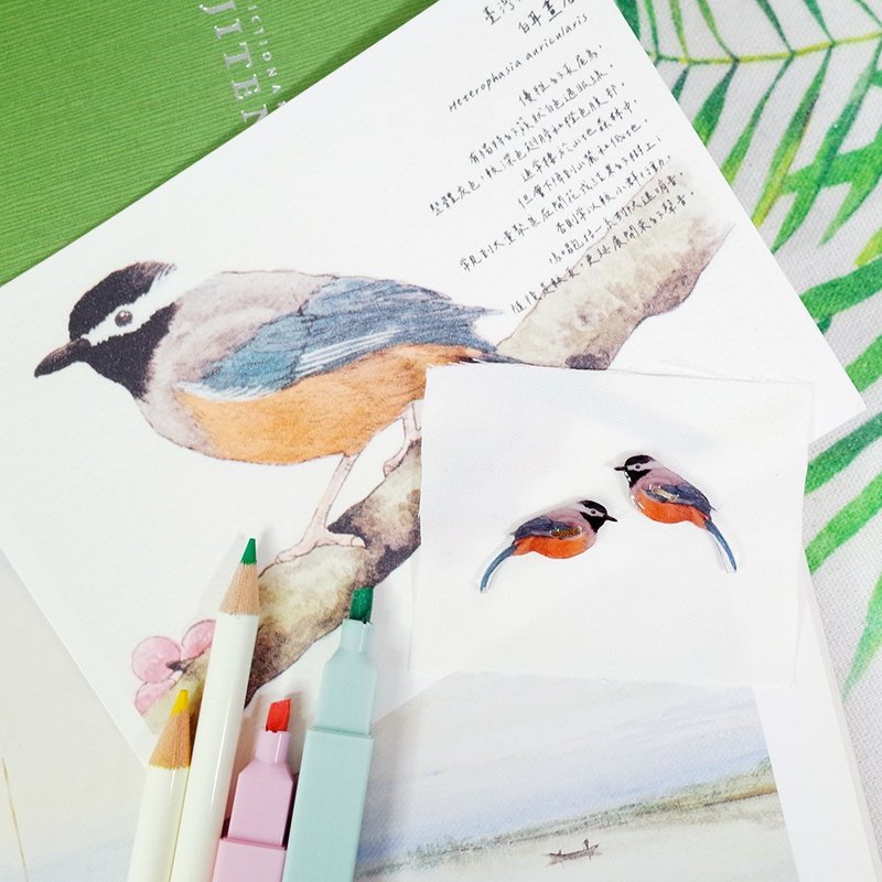 台湾特有种 白耳画眉 绘画钮扣 装饰扣 - 袖扣 - 防水材质 蓝色