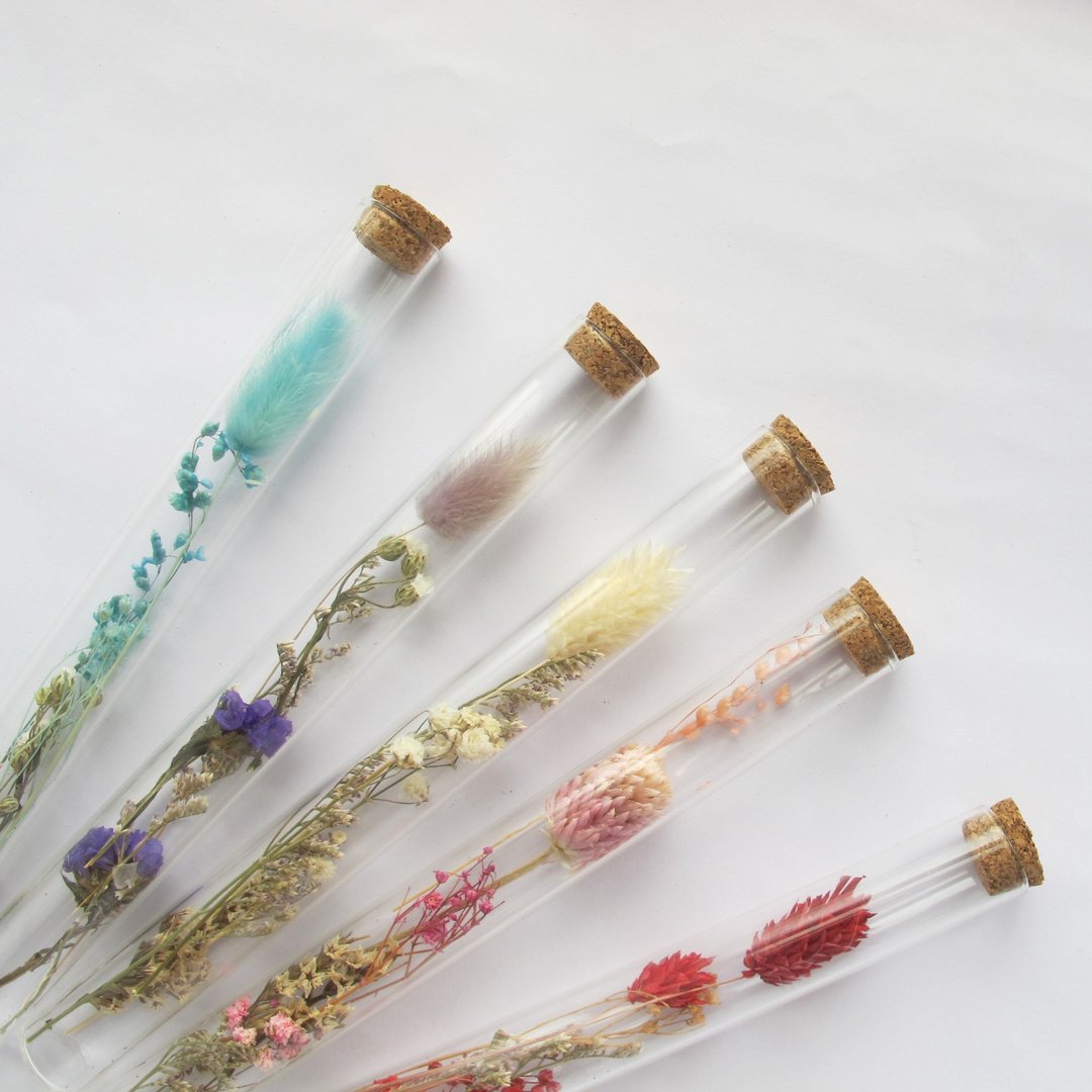 小试管花 玻璃试管 干燥花 - 干燥花/捧花 - 植物．花 白色
