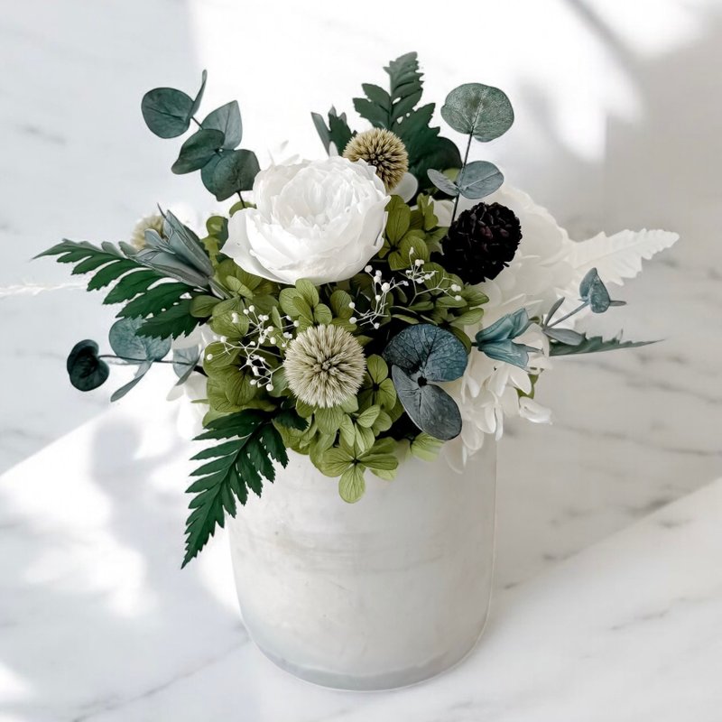 Into the Wind 波西仲夏绿野森林永生花礼 - 植栽/盆栽 - 植物．花 白色