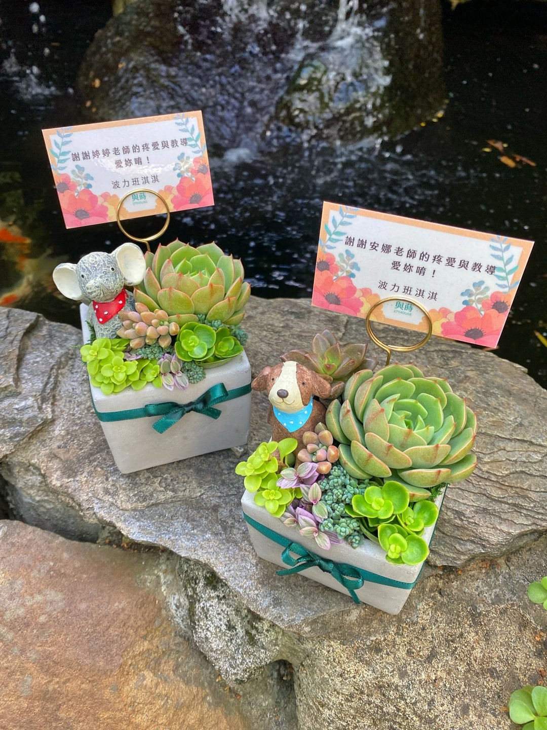【客订】方形水泥多肉盆一个+底盘一个+绿色缎带 - 植栽/盆栽 - 植物．花 白色