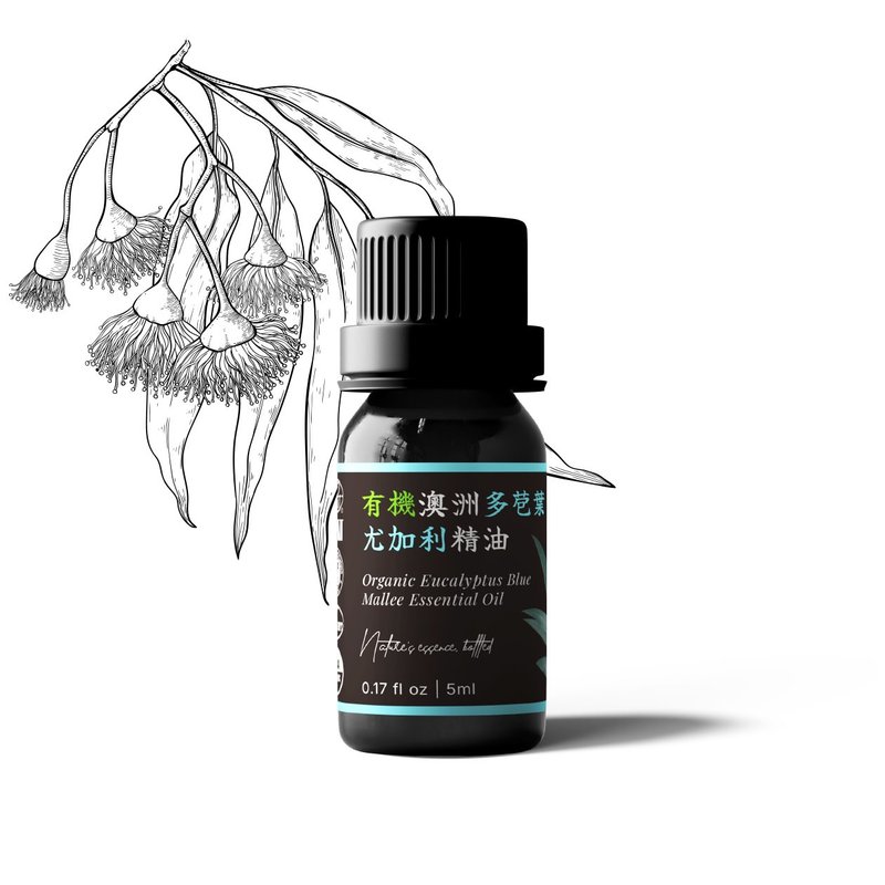 【卡佛香】有机澳洲多苞叶尤加利精油  桉油醇型 - 香薰/精油/线香 - 玻璃 黑色