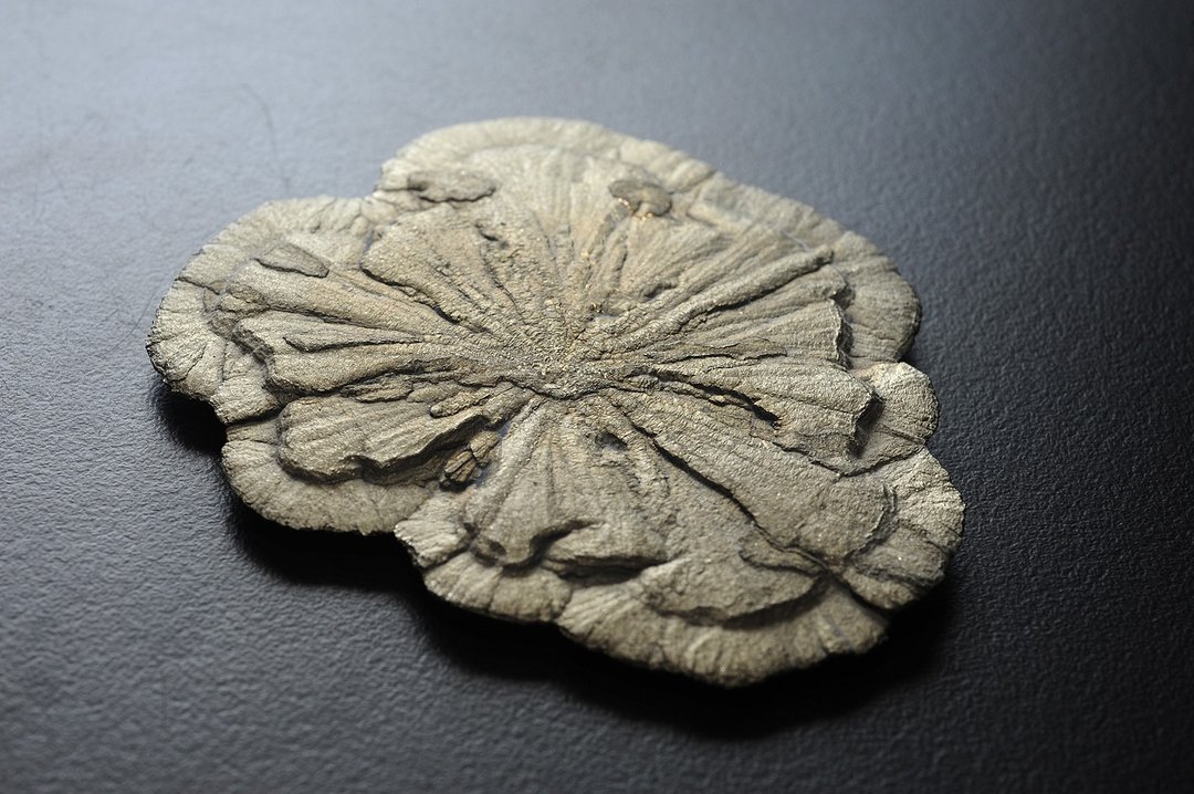 美国太阳花黄铁矿 矿石/水晶/灵修/开运/招财/破煞 (收藏级) - 摆饰 - 铜/黄铜 