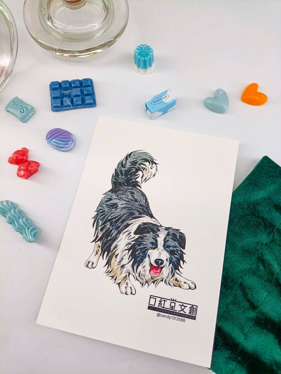 KR474_口紅堂明信片_邊境牧羊犬8_candy1313588 postcard - 卡片/明信片 - 纸 多色