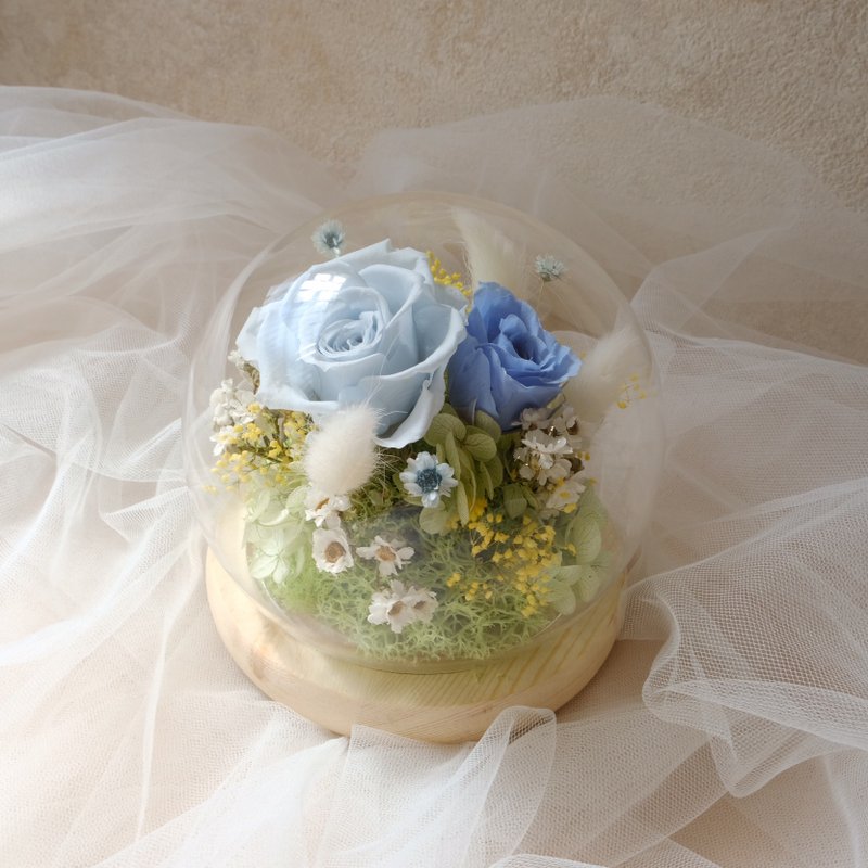 玻璃钟罩/蓝色/不凋花/永生花/玫瑰花/生日礼物/情人节/七夕 - 植栽/盆栽 - 植物．花 蓝色