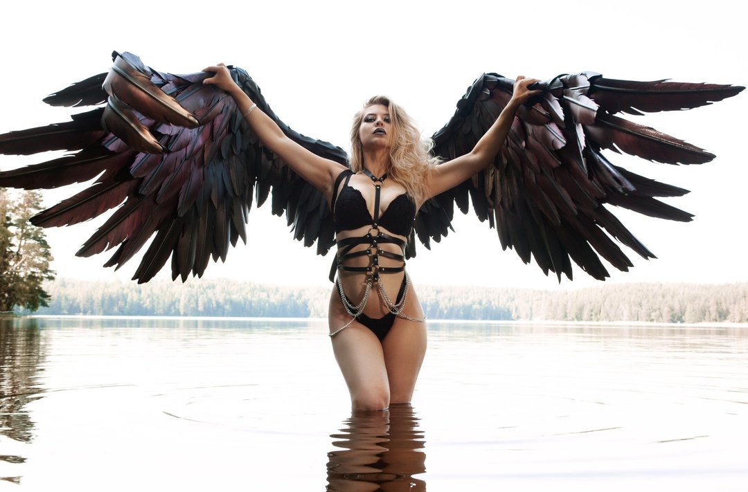 Large black painted red wings for photoshoot & Cosplay/Arsene from Persona 5 - 其他 - 其他人造纤维 