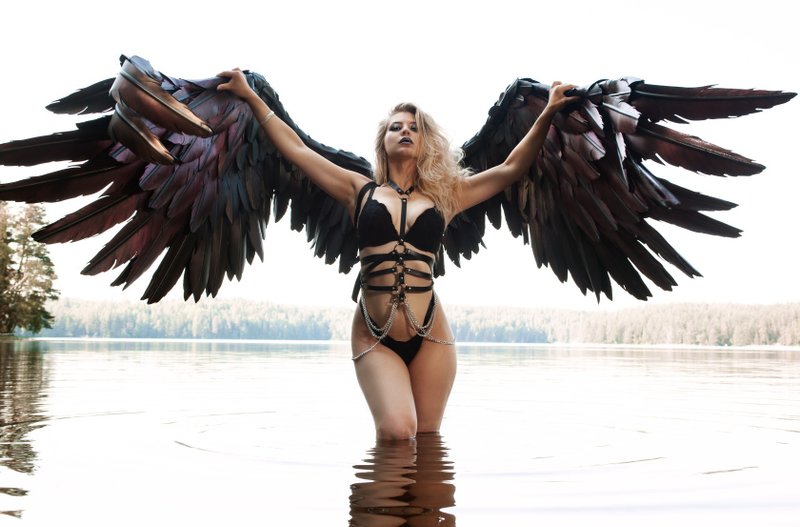 Large black painted red wings for photoshoot & Cosplay/Arsene from Persona 5 - 其他 - 其他人造纤维 