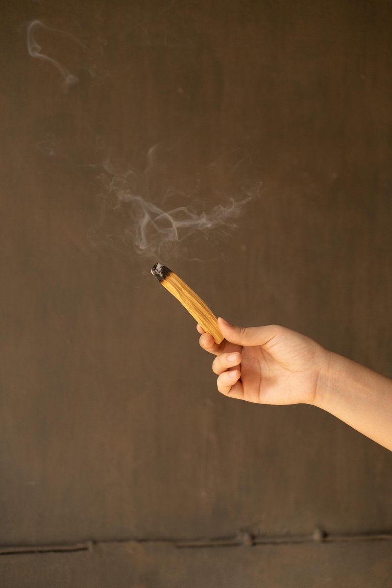 秘鲁圣木 - 原木条 - 香薰/精油/线香 - 木头 咖啡色