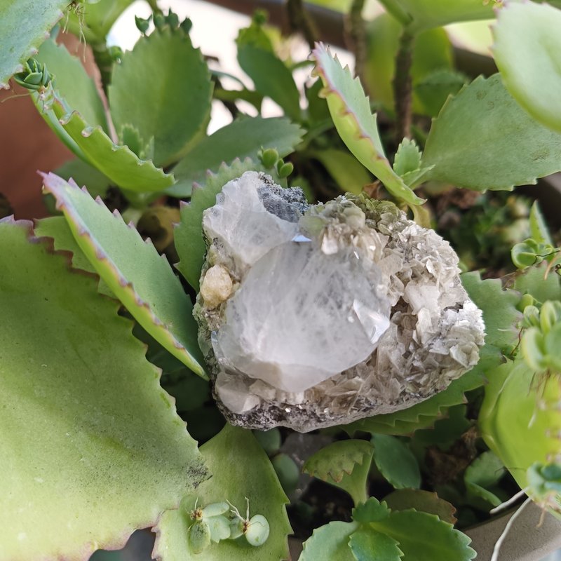 海蓝宝Aquamarine原矿摆件/水晶/平衡/开运 - 摆饰 - 水晶 