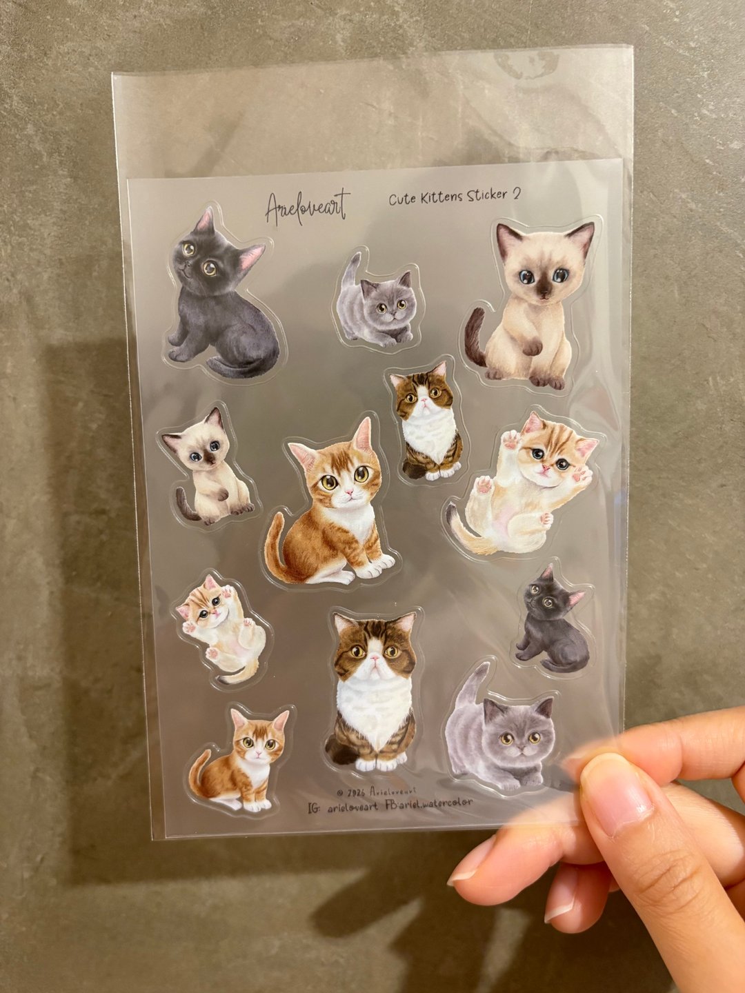猫咪系列工透明防水贴纸 - 贴纸 - 塑料 