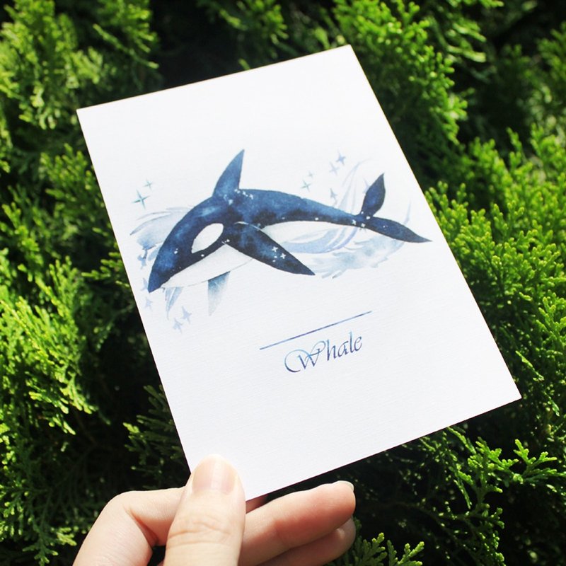 彩鲸明信片   虎鲸 - 卡片/明信片 - 纸 蓝色