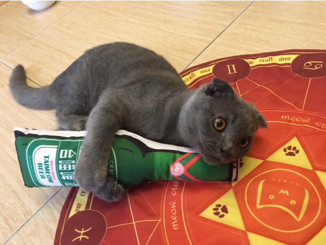 酒瓶猫草包 猫草 猫玩具 - 玩具 - 其他材质 