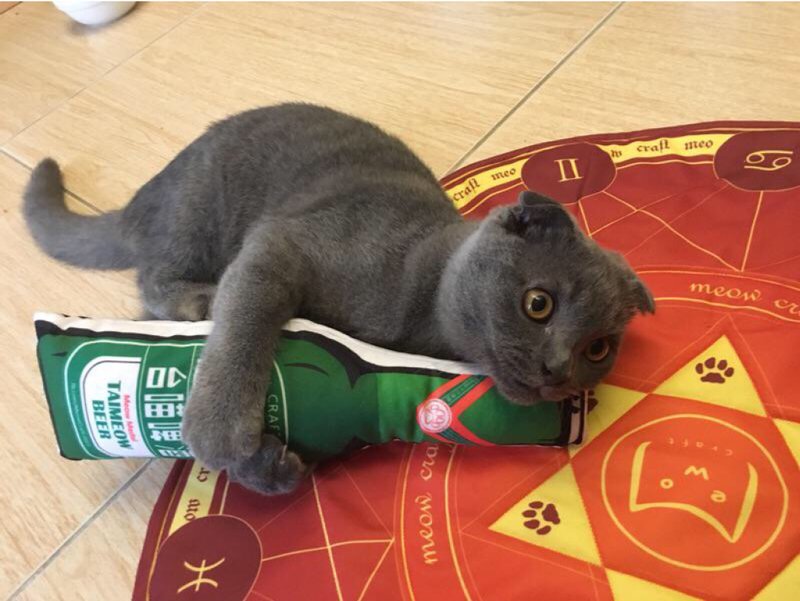 酒瓶猫草包 猫草 猫玩具 - 玩具 - 其他材质 