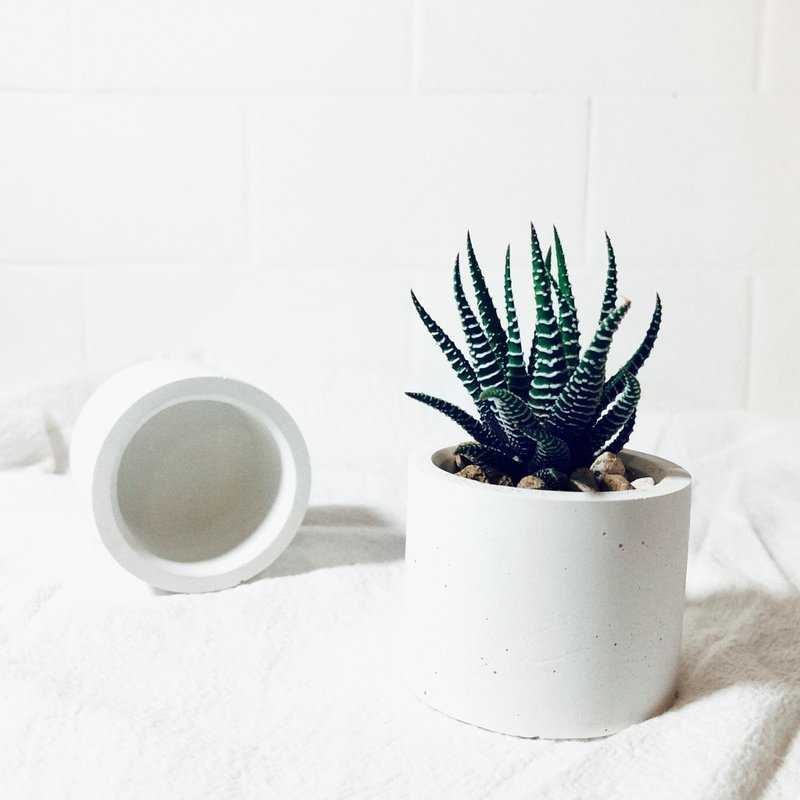 纯粹系列-圆柱泥盆/质感白 - 植栽/盆栽 - 水泥 白色