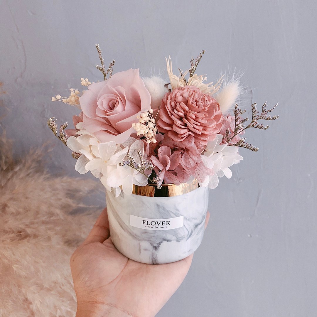 轻透粉永生盆花 - 摆饰 - 植物．花 