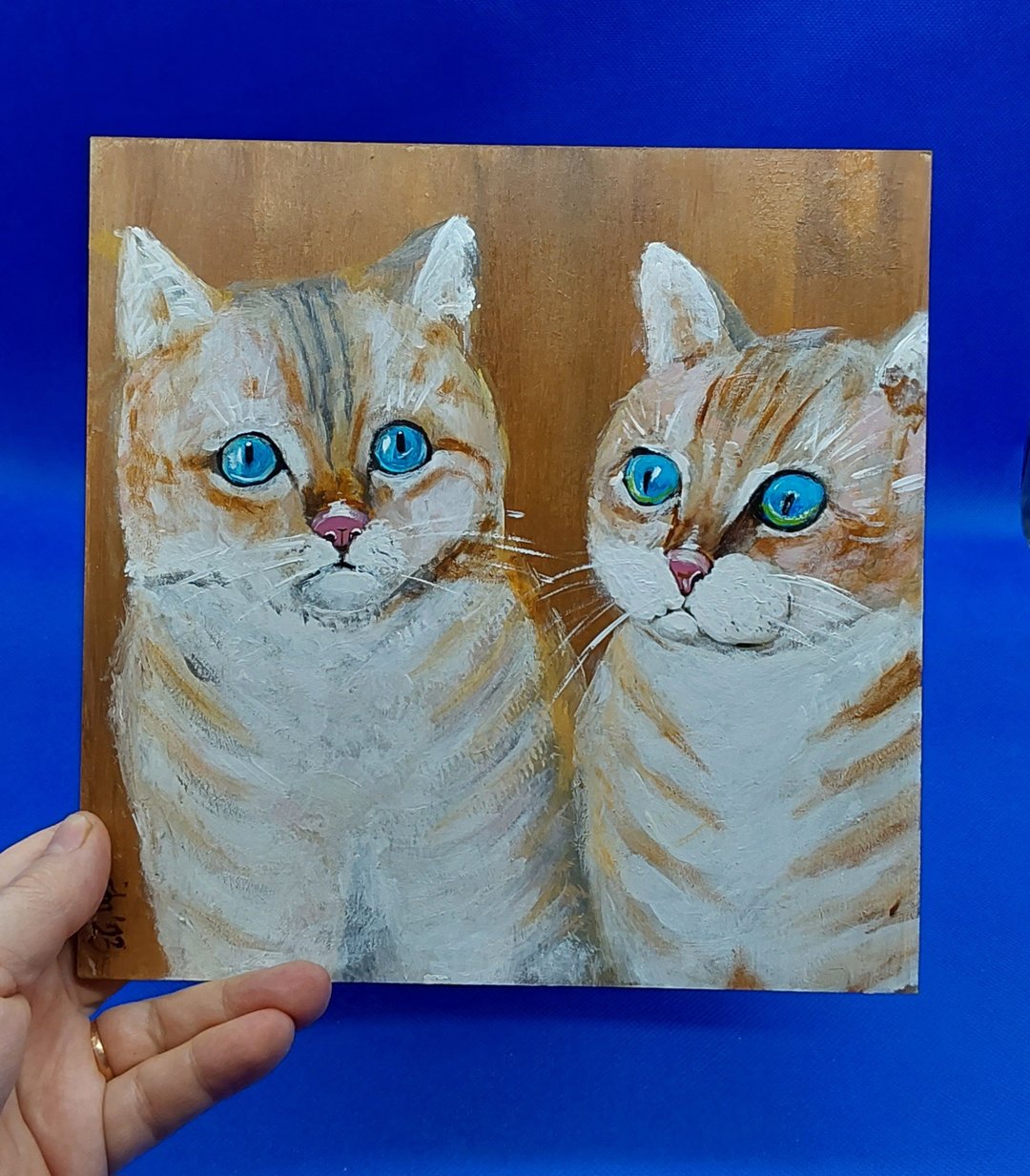 小猫肖像宠物画猫图片苗圃壁画原创艺术品 - 墙贴/壁贴 - 其他材质 橘色